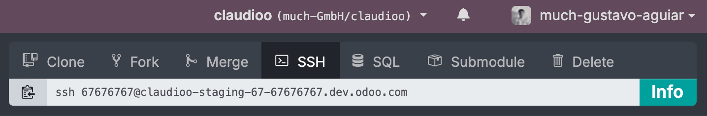 Odoo.sh SSH tab showing the connection string